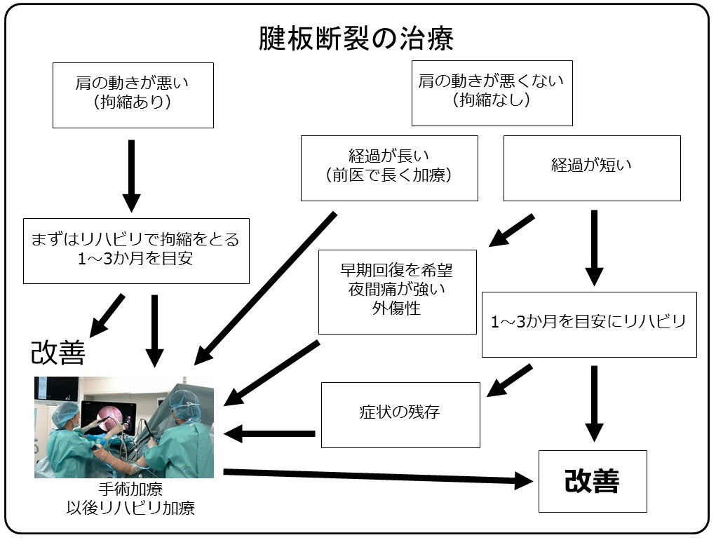 当院での腱板断裂の治療フロー