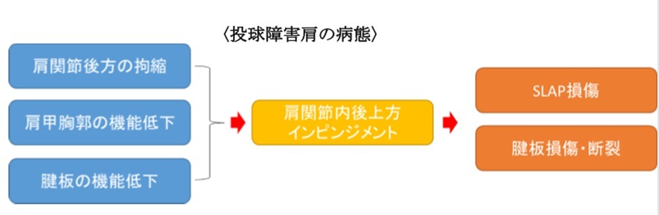 投球障害肩の病態進行フロー