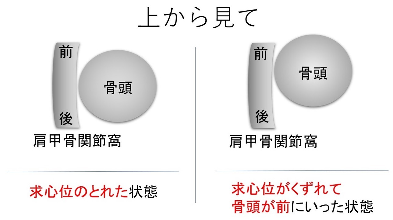 肩関節と求心位